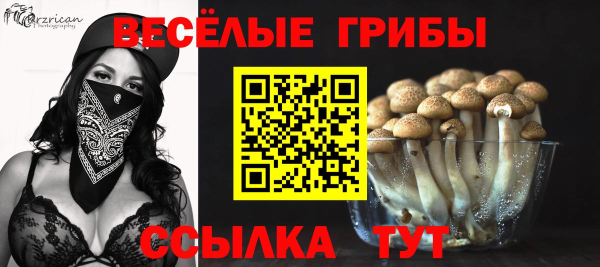 Ухта  Псилоцибиновые грибы прущие грибы  Вход с VPN 