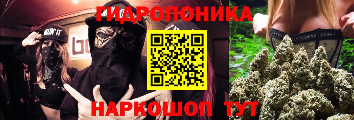 Каннабис план  Вход с VPN  Марихуана SATIVA & INDICA  Ухта 